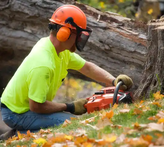 tree services Carmel Hamlet